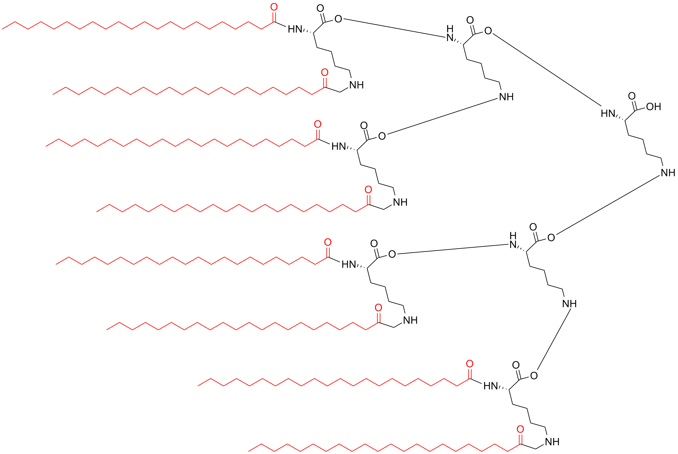 八分支多聚抗原肽(專肽生物www.allpeptide.com)