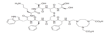 多肽成環(huán)結(jié)構(gòu)(專肽生物www.allpeptide.com)