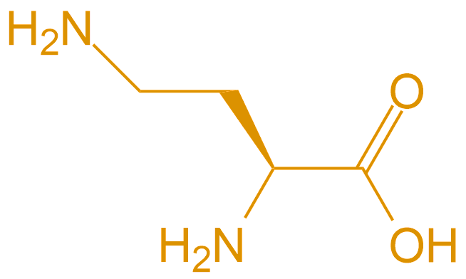 2,4-二氨基丁酸(專肽生物www.allpeptide.com)