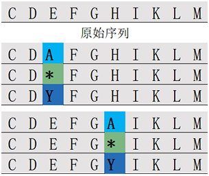 位置掃描肽庫計算器(專肽生物www.allpeptide.com)