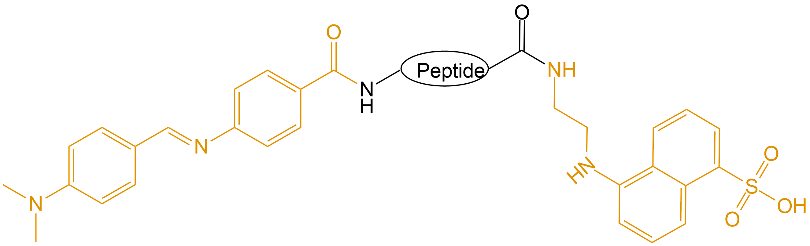 DABCYL和EDANS雙標(biāo)記(專肽生物www.allpeptide.com)