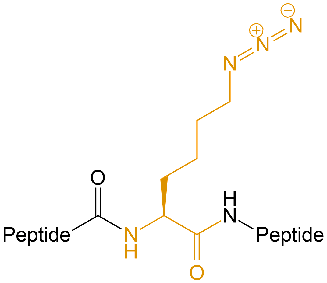 疊氮修飾(專肽生物www.allpeptide.com)