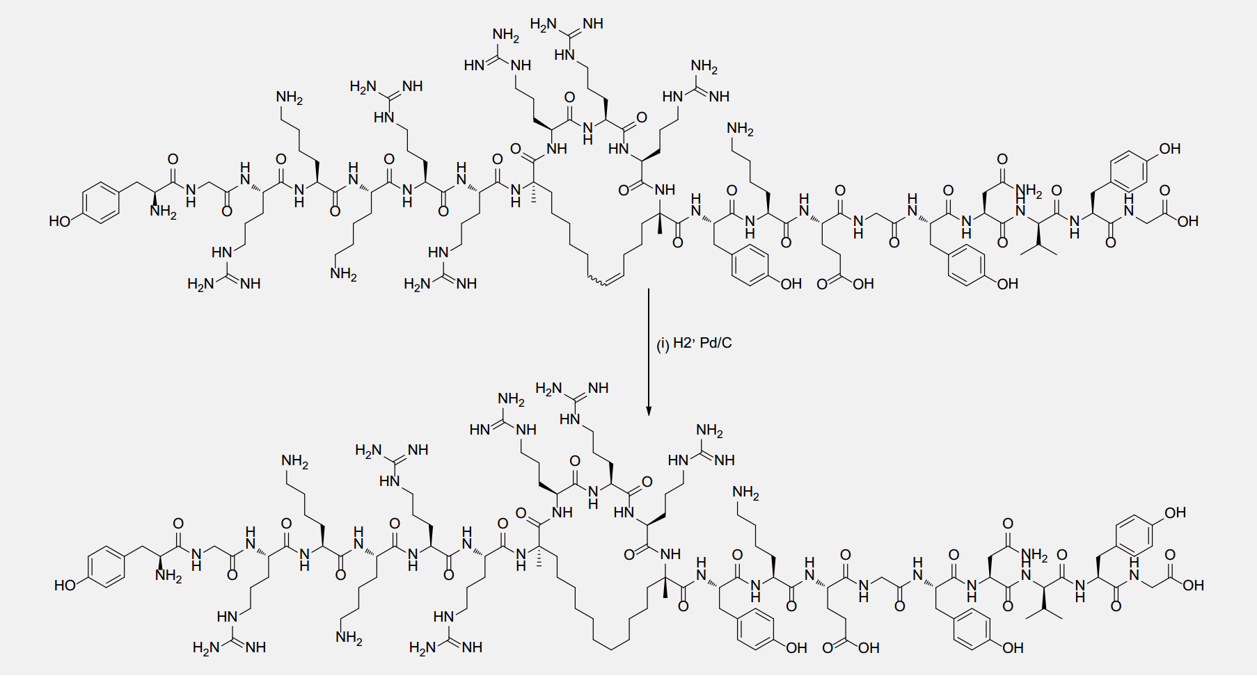 訂書肽,R8S5多肽(專肽生物www.allpeptide.com)