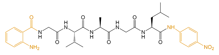 雙標(biāo)記多肽的結(jié)構(gòu)(專肽生物www.allpeptide.com)