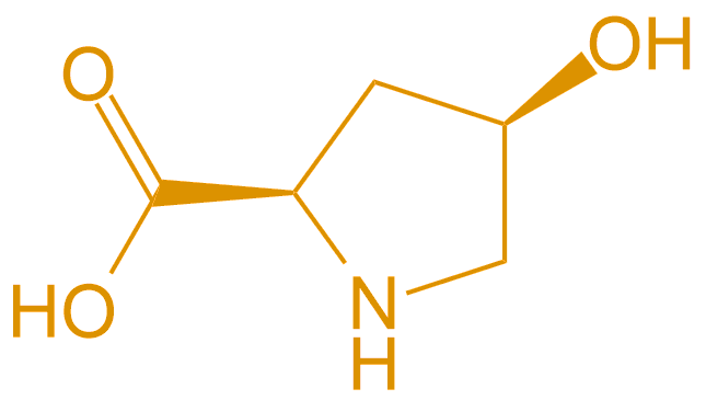D型羥脯氨酸(專肽生物www.allpeptide.com)