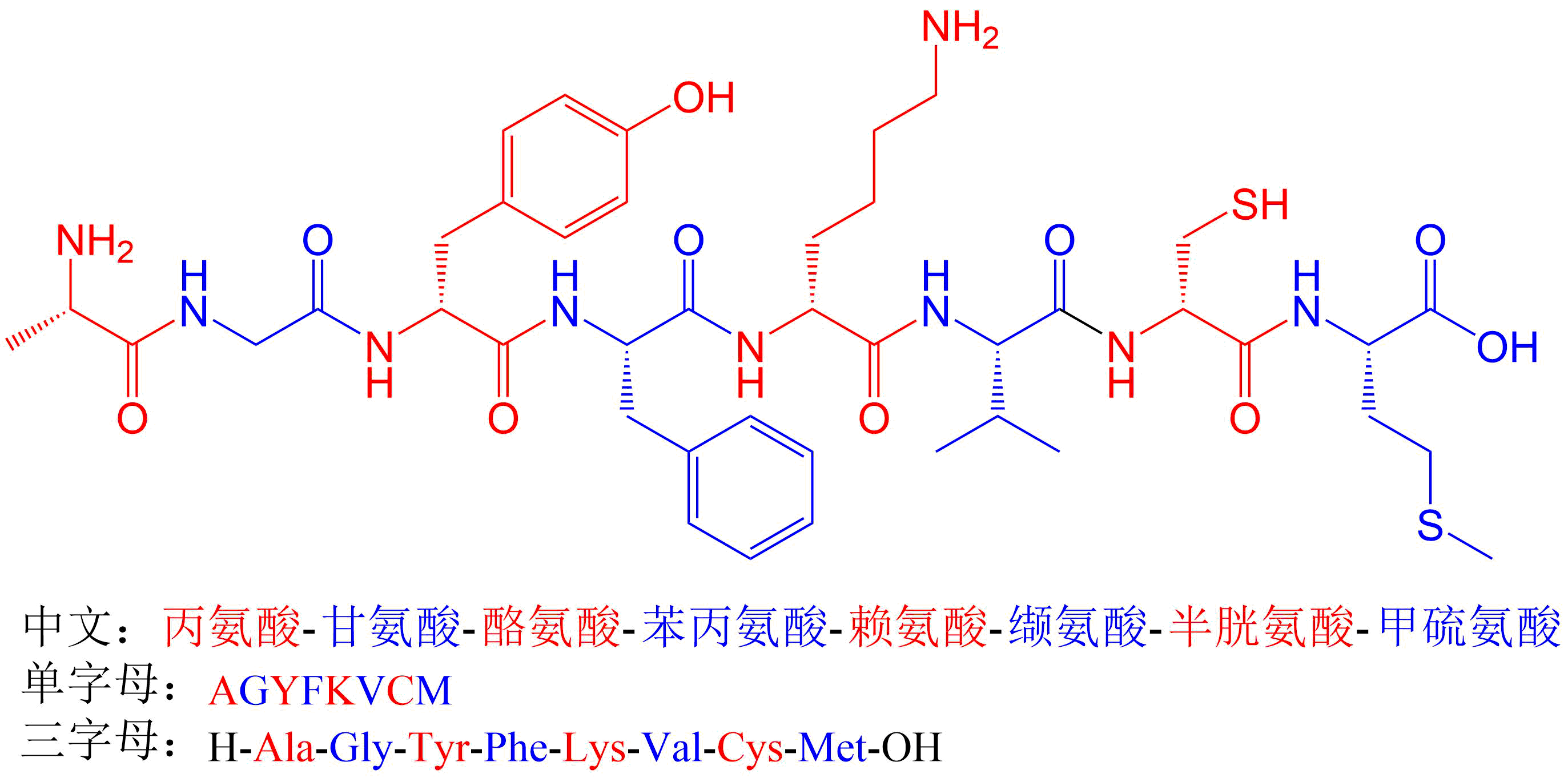 如何正確書寫多肽(專肽生物www.allpeptide.com)