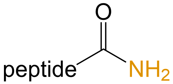 C端酰胺化(專肽生物www.allpeptide.com)