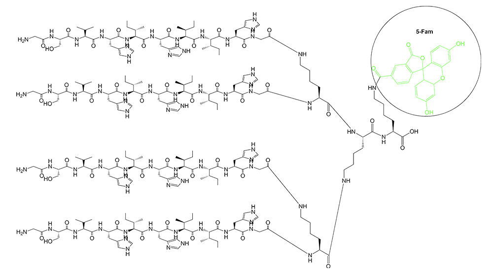多聚抗原肽，分支肽的結(jié)構(gòu)(專肽生物www.allpeptide.com)