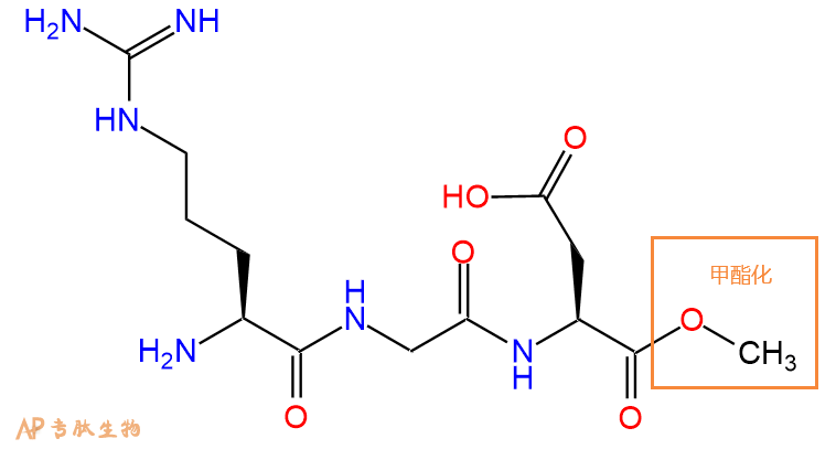 多肽C端的酯化修飾（甲酯化OMe\乙酯化OEt\芐酯化OBzl）|專肽生物多肽計算器