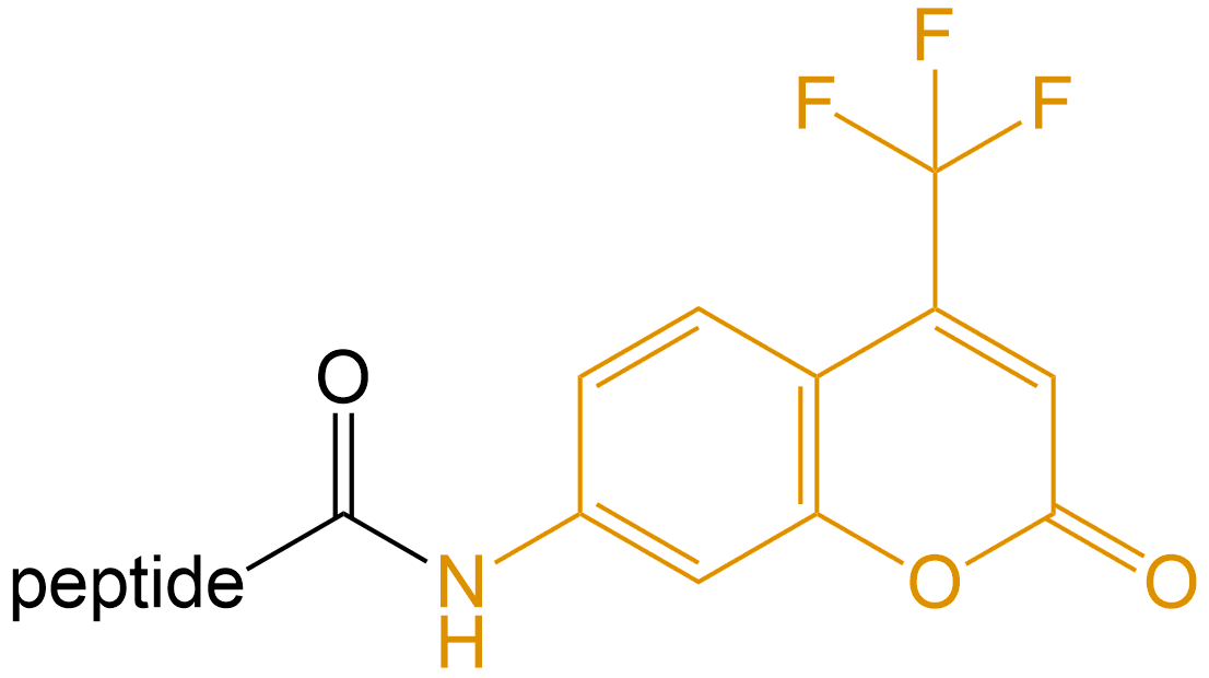 香豆素修飾(專肽生物www.allpeptide.com)