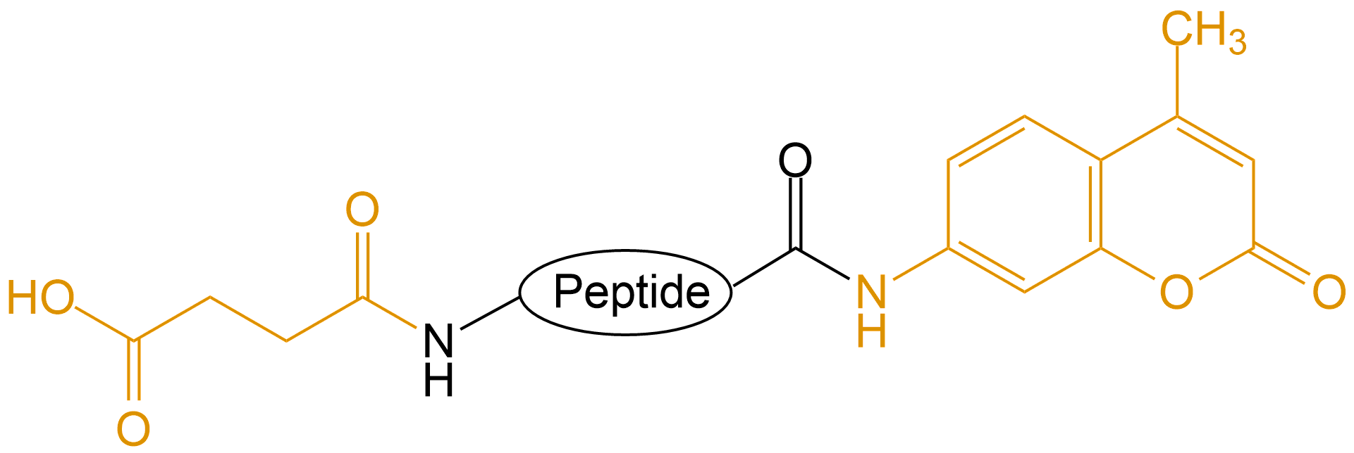 Suc和AMC雙標(biāo)記(專肽生物www.allpeptide.com)