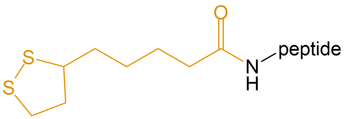 多肽硫辛酸修飾(專肽生物www.allpeptide.com)