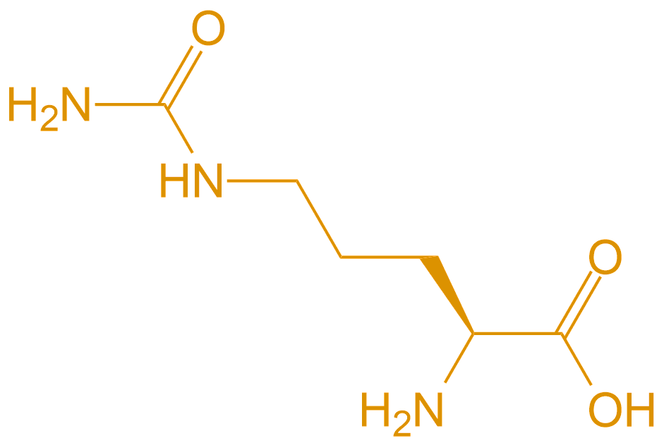 瓜氨酸Cit(專肽生物www.allpeptide.com)