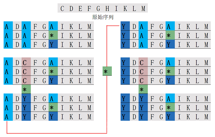 位置掃描肽庫計算器(專肽生物www.allpeptide.com)