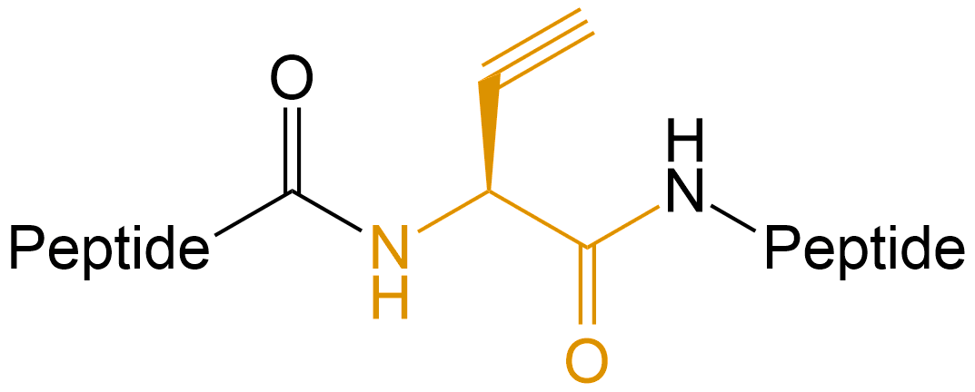 烯基修飾(專肽生物www.allpeptide.com)
