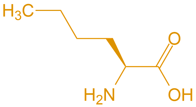 正亮氨酸(專肽生物www.allpeptide.com)
