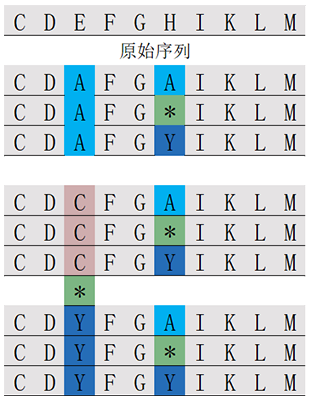 位置掃描肽庫計算器(專肽生物www.allpeptide.com)