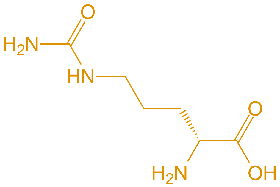 D型胍氨酸Cit(專肽生物www.allpeptide.com)