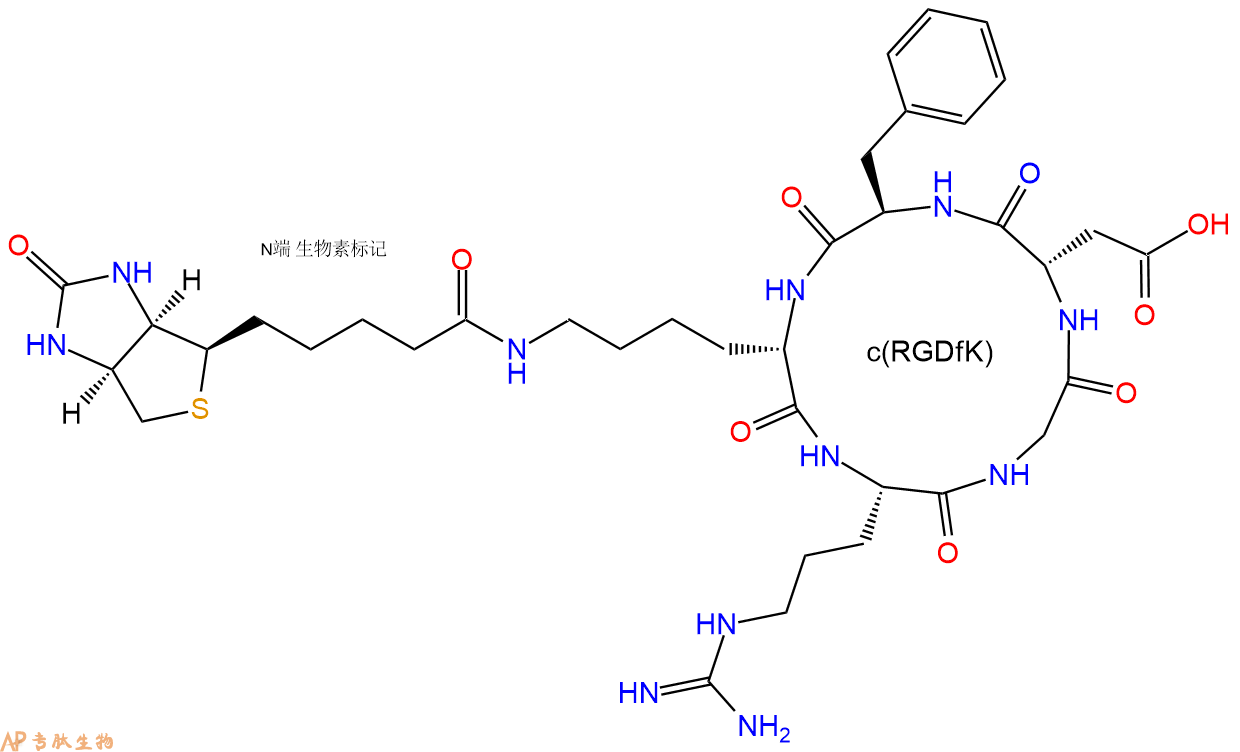 專肽生物產(chǎn)品c(RGD)環(huán)肽：c[RGDfK(Biotin)]|、環(huán)狀多肽c(RGDfK)-生物素