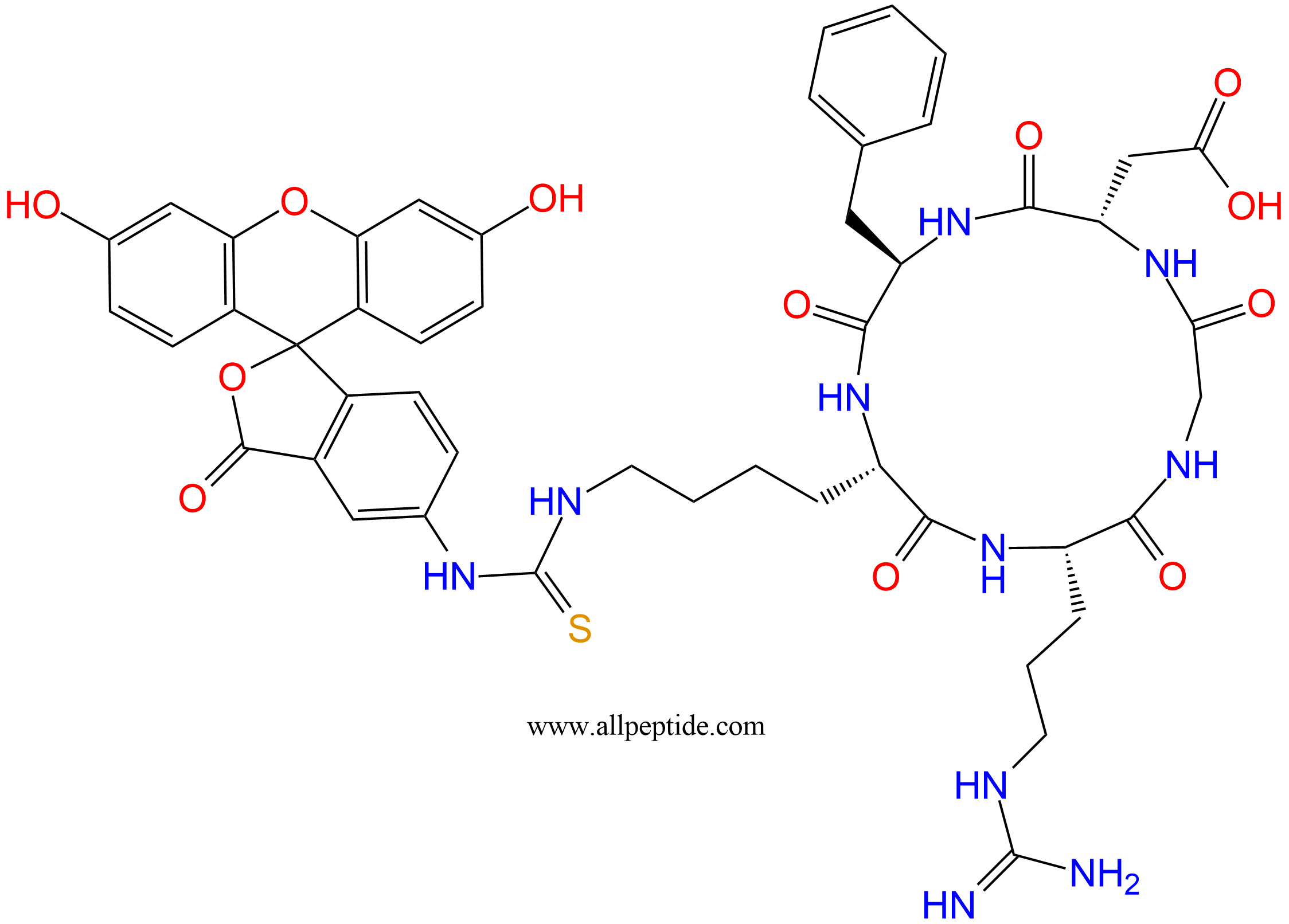 專肽生物產(chǎn)品c(RGD)環(huán)肽：c(RGDfK(FITC))、環(huán)狀多肽c(RGDfK)-FITC標(biāo)記