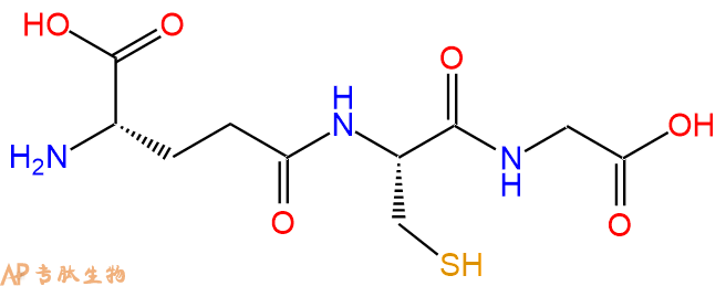 專肽生物產(chǎn)品谷胱甘肽/還原型谷胱甘肽70-18-8