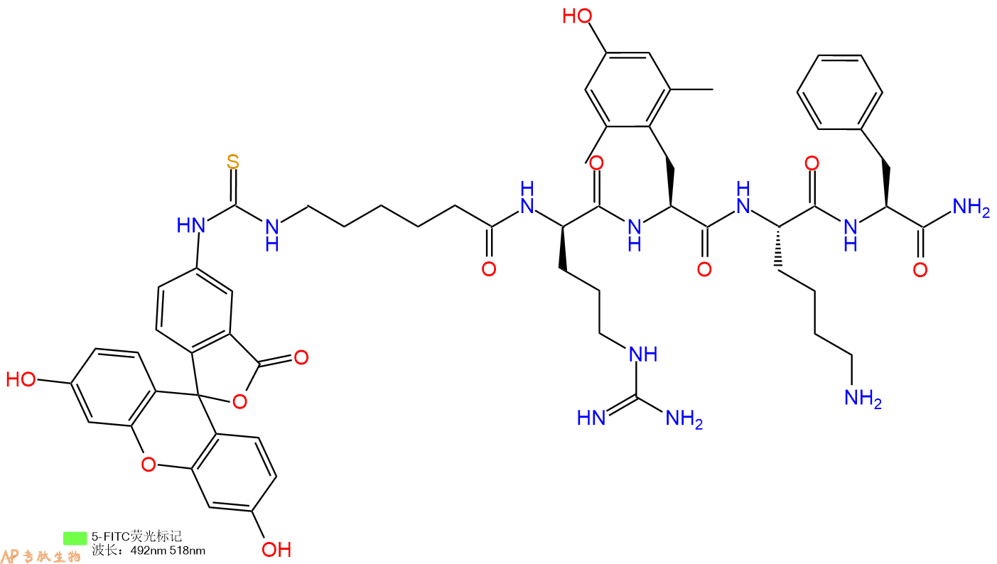 專肽生物產(chǎn)品FITC標(biāo)記線粒體靶向抗氧化劑FITC-SS-31